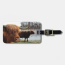 Search for highland cattle luggage tags Hairy
