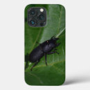 Search for beetle iphone cases Insects