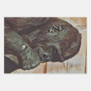 Search for chimpanzee wrapping paper Primate