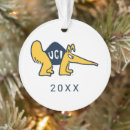 Search for anteater ornaments University of california irvine