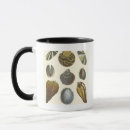 Search for collecting mugs Ocean