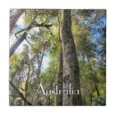 Search for gum tiles Australia