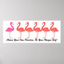 Search for direction signs Tropical