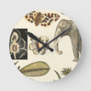 Recherche de studio horloges Papillon