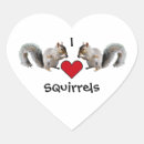 Search for love squirrel stickers Nature