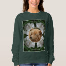 Recherche de dog hoodies Chat