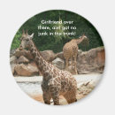 Search for giraffe face magnets Spotted