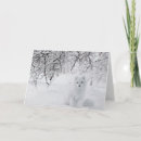Search for arctic fox cards Cold