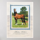 Recherche de cheval arabe posters Peinture