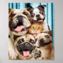 Search for funny dog picture posters Pet