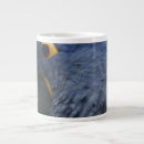 Search for macaws mugs Parrot