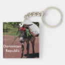 Search for donkey keychains Ride