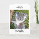 Search for koala birthday cards Photography