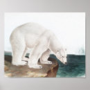 Search for cute bear illustration posters Vintage
