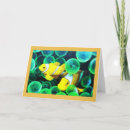 Search for yellow fish cards Green