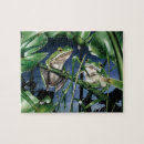Recherche de grenouille puzzles Nature