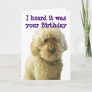 Search for goldendoodle cards Doodle mom