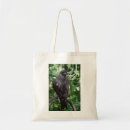 Search for red tail bags Birds
