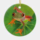 Search for crazy ornaments Fun