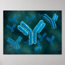Search for microbiology art Dna