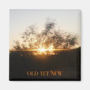 Recherche de styles magnets Tendance