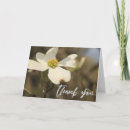Recherche de fleurissant photographie Toute personne