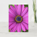 Search for head cards Flower