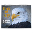 Search for birds of prey calendars Eagle