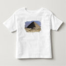 Search for pyramid tshirts Desert