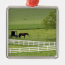 Search for amish ornaments Ohio