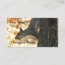 Recherche de écureuils cartes visite Faune