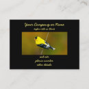 Recherche de oiseaux chanteurs cartes visite Pour tous