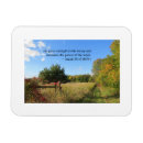 Search for hope magnets Healing