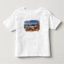 Search for high desert tshirts Walter bibikow