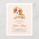 Recherche de dog baby Mignon