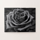 Search for black and white puzzles Nature