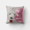 Search for labradoodle pillows Cute
