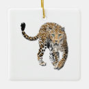 Search for leopard ornaments Jungle