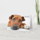 Recherche de yeux tristes vœux cartes Chien