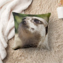 Search for meerkat pillows Animals