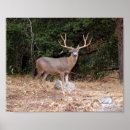 Recherche de deer art Toile