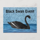 Recherche de swan cartes postales Noir