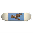 Search for hawks skateboards Raptor
