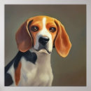 Search for harrier Breed