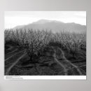 Search for facilities posters Plants