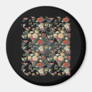 Search for installations magnets Fantasy