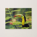Search for exotic puzzles Toucan