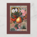Search for vintage flower seeds postcards Vegetables