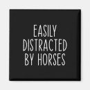 Search for distraction magnets Horses