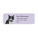 Search for black kittens return address labels Kitty